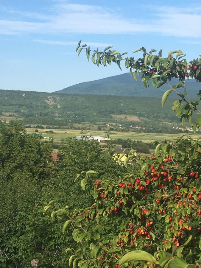Holiday Home Nemo Біхач Екстер'єр фото